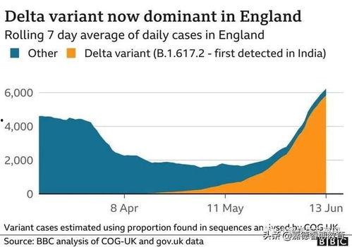 英国爆料病毒事件最新,揭秘疫情背后的真相与争议